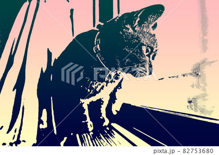 猫 ネコ ねこ キジトラ 白 グレー 子猫 雌 メス 雌ねこ 雌ネコ 雌猫 元気 かわいい 癒し 82753680