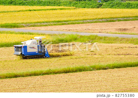 稲刈り 稲刈り 82755380
