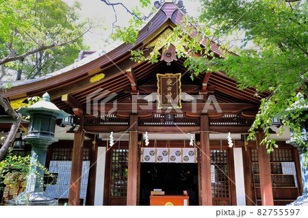 東京都港区　愛宕神社 82755597