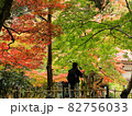 紅葉を眺める人物風景　三重県 聖宝寺 82756033