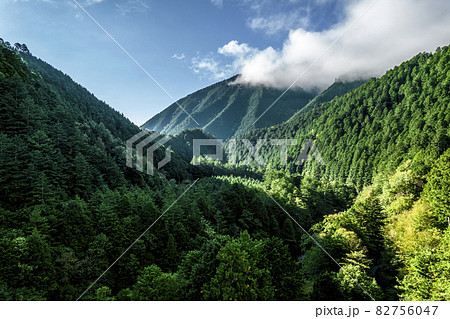日本の美しい渓谷 山から湧き出た清らかな水が流れる川と、ヒノキの美しい森が広がる「阿寺渓谷」 日本の美しい渓谷 山から湧き出た清らかな水が流れる川と、ヒノキの美しい森が広がる「阿寺渓谷」 82756047