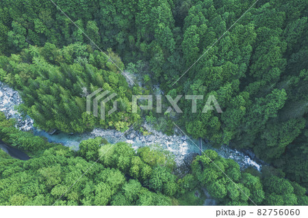 日本の美しい渓谷　山から湧き出た清らかな水が流れる川と、ヒノキの美しい森が広がる「阿寺渓谷」 82756060