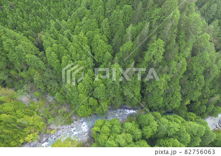 日本の美しい渓谷　山から湧き出た清らかな水が流れる川と、ヒノキの美しい森が広がる「阿寺渓谷」 82756063