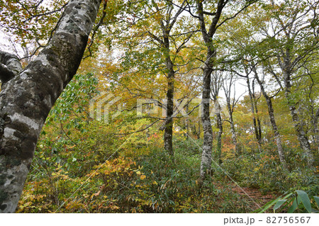 秋の安達太良連峰 82756567