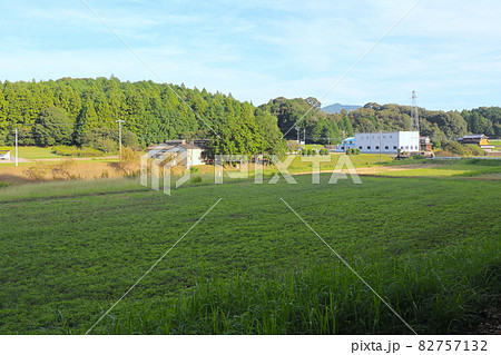 設楽原の戦い（長篠の戦い）決戦地、古戦場 82757132