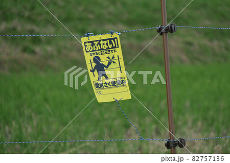 電気柵と田んぼ 82757136