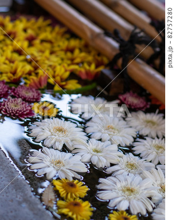 お稲荷さんの花手水　下谷神社 82757280