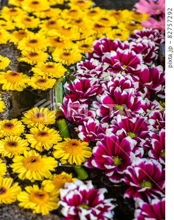 お稲荷さんの花手水　下谷神社 82757292