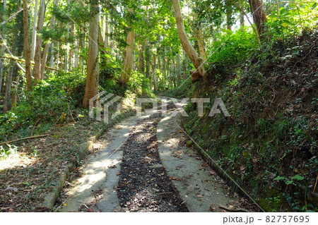 雑木林の緑が美しい森の中の急な坂道。宮城県東松島市宮戸にある嵯峨渓遊歩道、大浜海岸から乙女ヶ浜への道 82757695