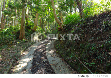 雑木林の緑が美しい森の中の急な坂道。宮城県東松島市宮戸にある嵯峨渓遊歩道、大浜海岸から乙女ヶ浜への道 雑木林の緑が美しい森の中の急な坂道。宮城県東松島市宮戸にある嵯峨渓遊歩道、大浜海岸から乙女ヶ浜への道 82757696