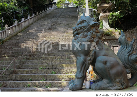 東京都港区　愛宕神社の狛犬（吽形）と出世の石段 82757850