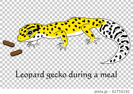 Leopard Gecko High Yellow Character Illustration Vector 82758192
