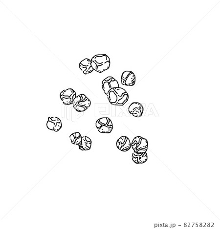 胡椒のペン画カットイラスト 82758282