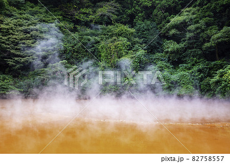 日本一のおんせん県　大分県の人気観光スポット　別府地獄めぐり　血の池地獄 82758557