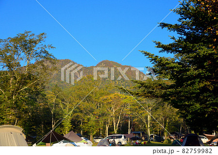 信州戸隠神社奥社と杉並木 82759982