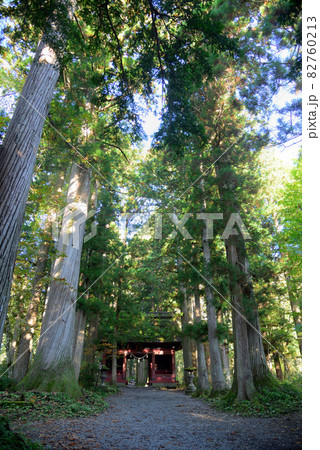 信州の霊場戸隠神社 82760213