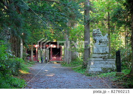 信州の霊場戸隠神社 82760215