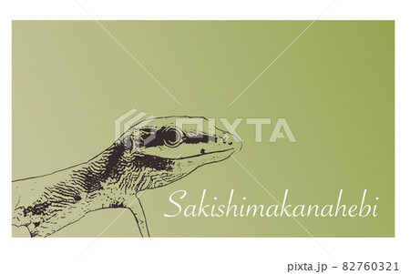 サキシマカナヘビのイラスト素材