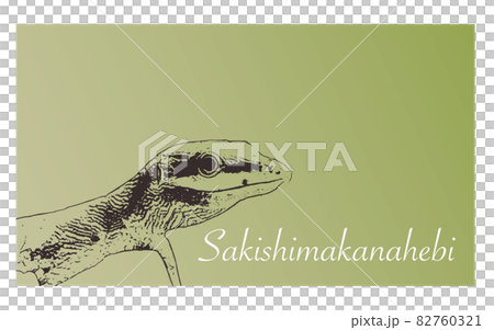 サキシマカナヘビ 82760321