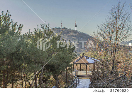 公園 木 冬 82760620