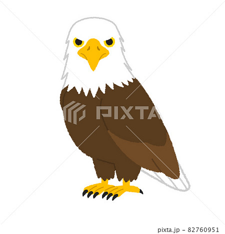 鷲(ワシ)のイラスト 鷲(ワシ)のイラスト 82760951