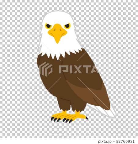 一隻鷹的插圖 一隻鷹的插圖 82760951