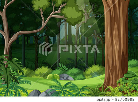 Nature forest landscape background 82760988
