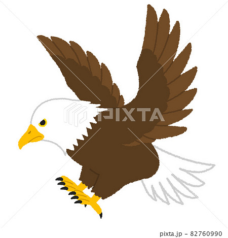 Eagle Eagle Illustration Stock Illustration