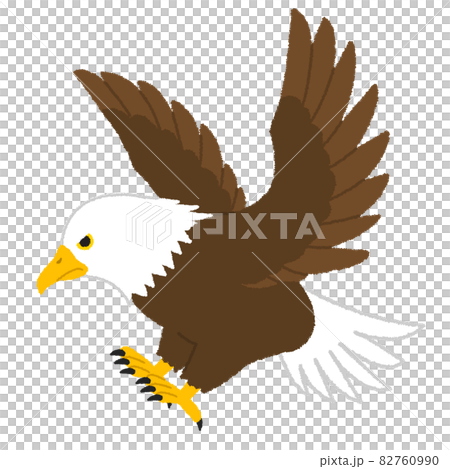 Eagle (eagle) illustration 82760990