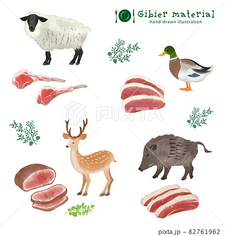 ジビエ食材の手描きイラスト 82761962