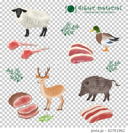 ジビエ食材の手描きイラスト 82761962