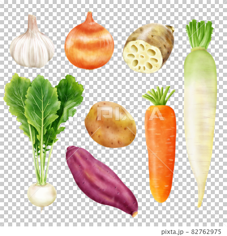 Watercolor illustration root vegetable set Watercolor illustration root vegetable set 82762975