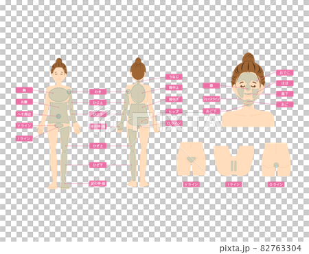 Body parts VIO Hair loss location Vector illustration Female 82763304