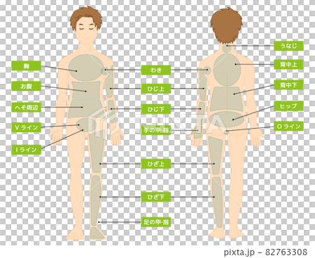 男性の全身イラスト 美容脱毛 ベクターイラスト 男性の全身イラスト 美容脱毛 ベクターイラスト 82763308