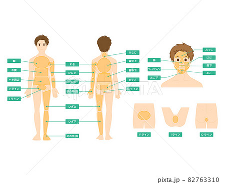 男性の全身イラスト 美容脱毛 ベクターイラスト のイラスト素材