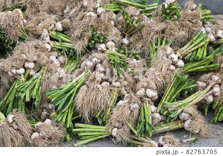 Fresh garlics in a market Fresh garlics in a market 82763705