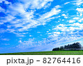 広がる大地と大空 82764416