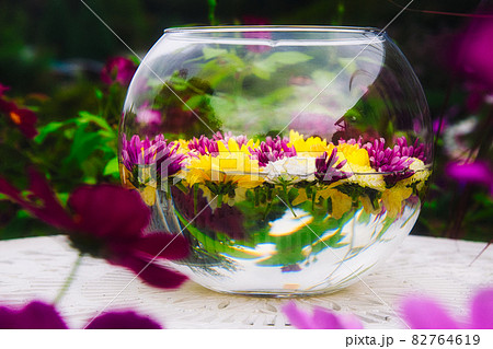 ガラスの花器に活けられたカラフルな美しい浮き花の写真素材