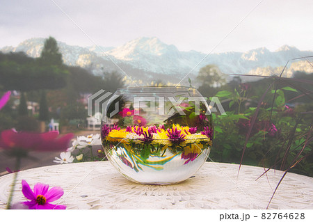 ガラスの花器に活けられたカラフルな美しい浮き花の写真素材 ガラスの花器に活けられたカラフルな美しい浮き花の写真素材