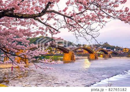 Cherry blossom Full Bloom at Kintaikyo Bridge Cherry blossom Full Bloom at Kintaikyo Bridge 82765182