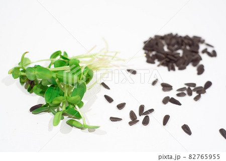 Sunflower microgreens on a white background. Healthy eating. 82765955