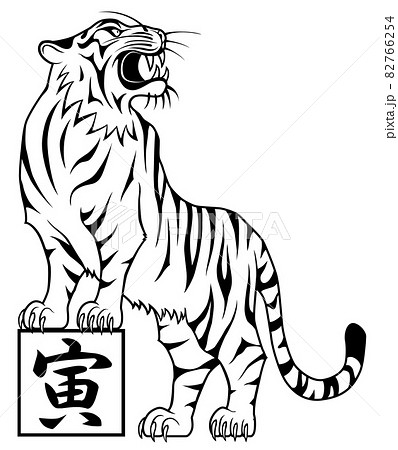 Tiger tiger tiger white background - Stock Illustration [82766254] - PIXTA