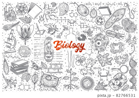 Hand drawn Biology doodle set with lettering Hand drawn Biology doodle set with lettering 82766531