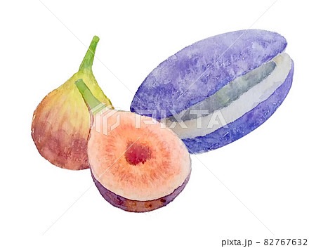 秋の味覚、アケビとイチジク、手描き水彩画 82767632
