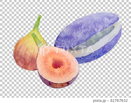 秋の味覚、アケビとイチジク、手描き水彩画 82767632