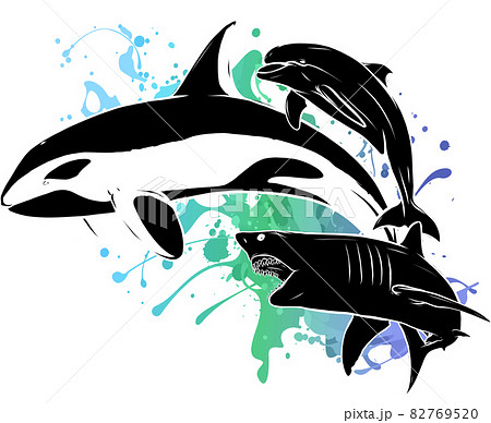 vector silhouette shark killer whale and dolphin vector silhouette shark killer whale and dolphin 82769520