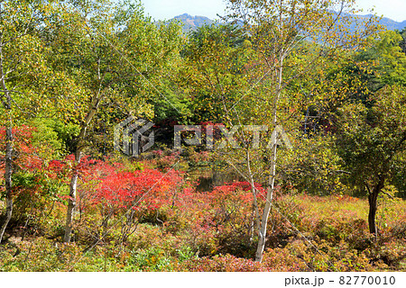 志賀高原の湖沼群 志賀高原の湖沼群 82770010