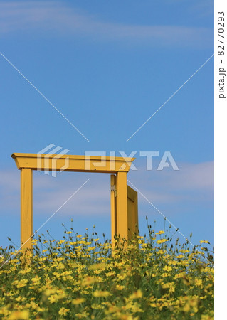 お花畑の黄色いドア どこでもドア フォトスポットの写真素材