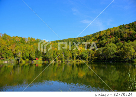 紅葉を迎えた志賀高原の湖沼群 紅葉を迎えた志賀高原の湖沼群 82770524