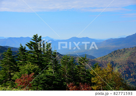 志賀高原横手山の紅葉 志賀高原横手山の紅葉 82771593